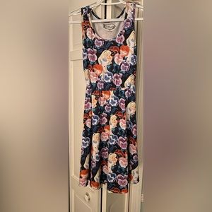 Disney Alice in Wonderland Dress